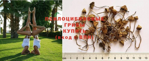 бошки Алзамай