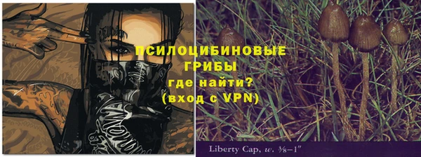 бошки Алзамай